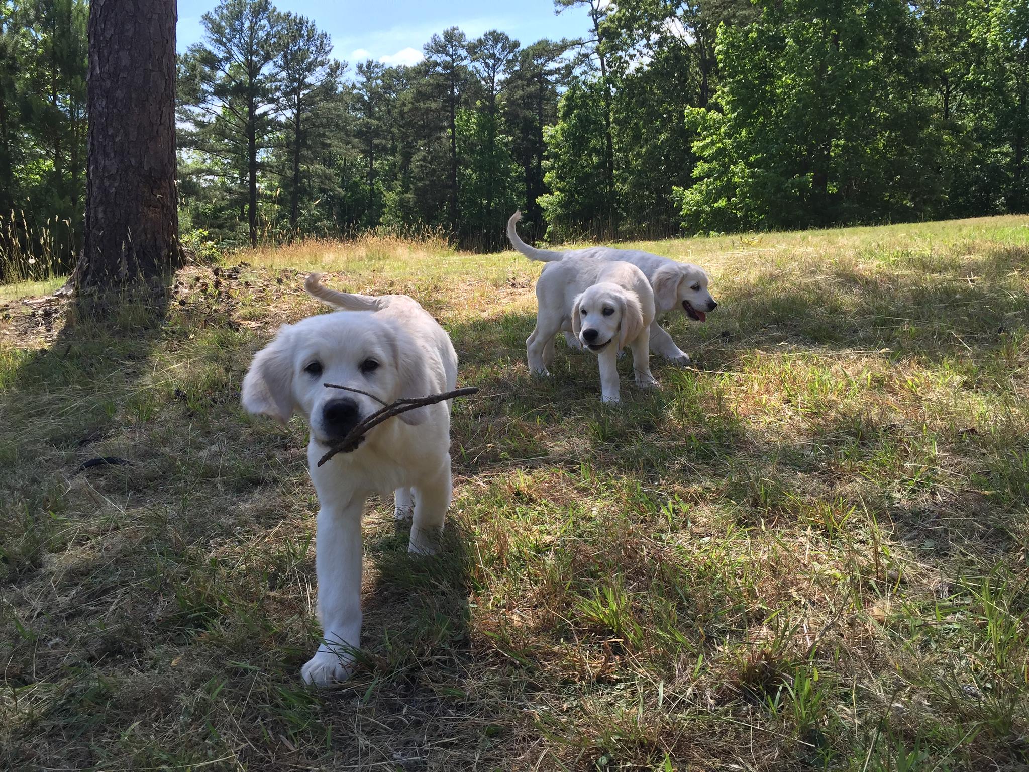 Young Jaya visiting her brothers.