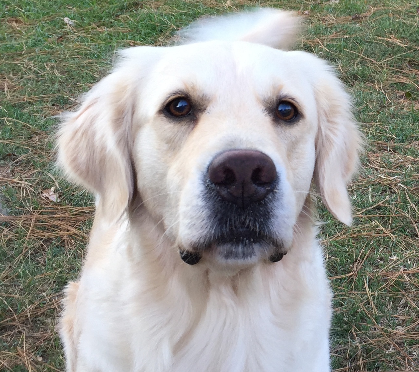 Jazzi 5th bday head shot