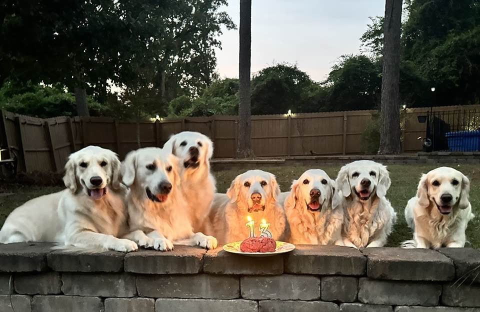 13th Birthday